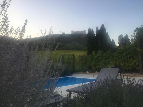 cottage with private swimming pool, Pavlov (photo 5)