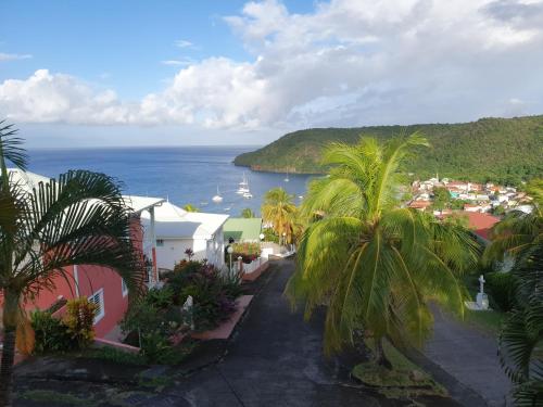Vistas, Rose phoenix appartement terrasse et piscine vue mer in Les Anses-d'Arlet