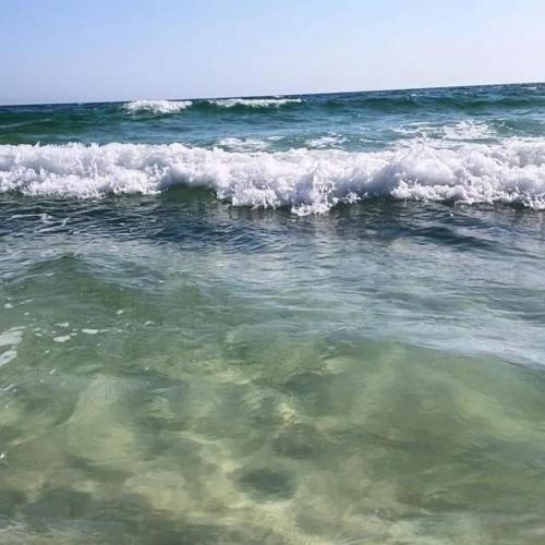 Sunbird 0208E 'Dolphin Watch'