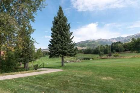 Wolf Creek Condo 306: Remodeled Vacation Condo - Powder Mountain Lodging - image 8