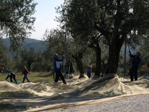 Casale privato per famiglie e gruppi Cibottola PG