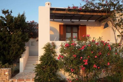 Iliovasilema Studios Koufonisia - image 5