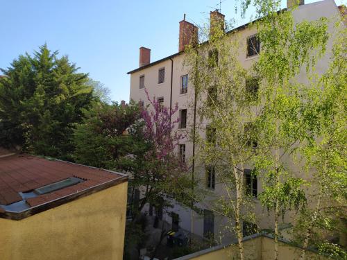 Berge du Rhône, Centre Lyon, espace de travail, tout à pied, Université Lyon 2 et Lyon 3, idéal voyage d'affaires, tourisme, loisirs, Lyon (photo 7)