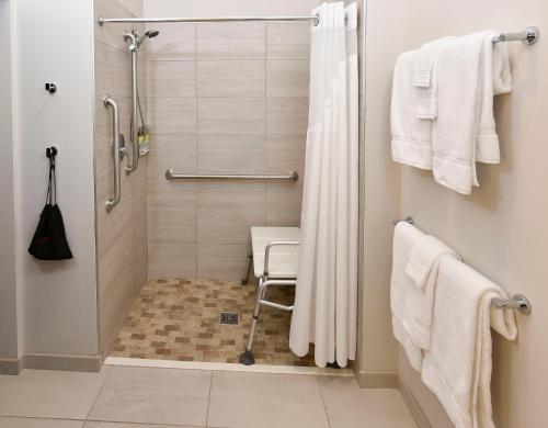 King Room - Disability Access Roll in Shower