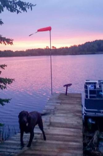 Cabin with Private Island Less Than 6 Miles to Sand Valley! - main image