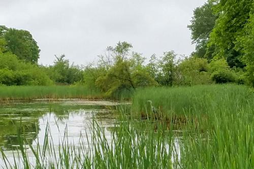 Cabin with Private Island Less Than 6 Miles to Sand Valley! - image 12