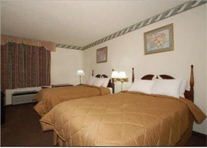 2 queen beds