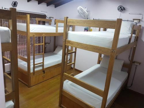 Purple Monkey Hostel, Medellín (foto 11)