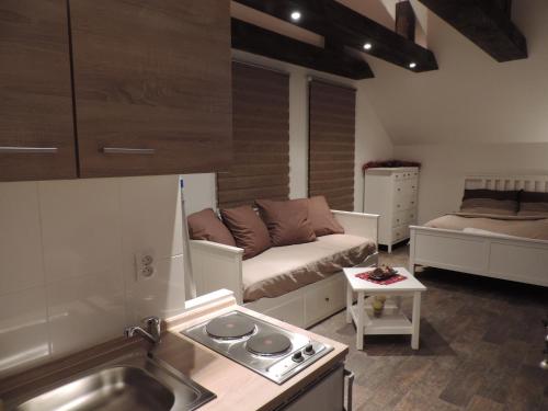 Deluxe Apartment with Balcony