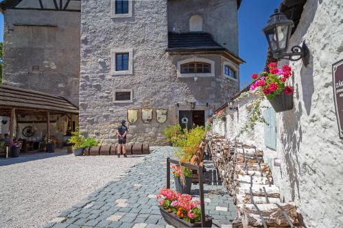 Hrad Vildštejn