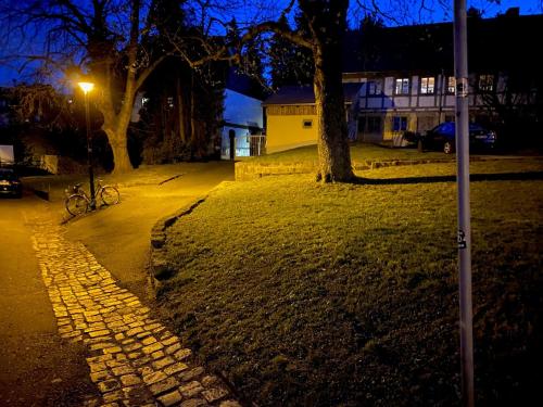 W.I.P. Welt im Park, Dresden (foto 9)