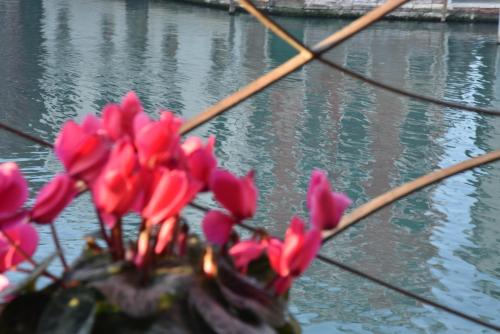 B&b Vista sul Canal Grande, Venezia (foto 3)
