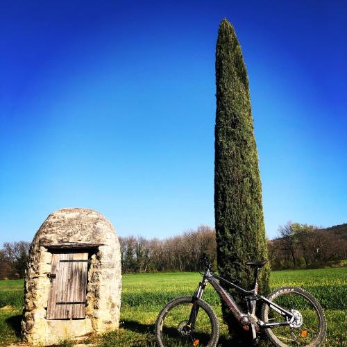 Le bois de Sibourg