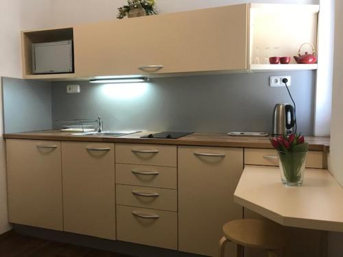 Apartmán Innova - Apartment - Zlín