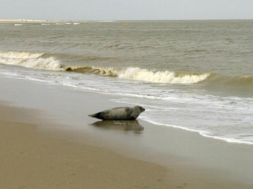 Huize Noordzee - image 6
