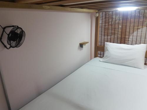 Purple Monkey Hostel, Medellín (foto 9)