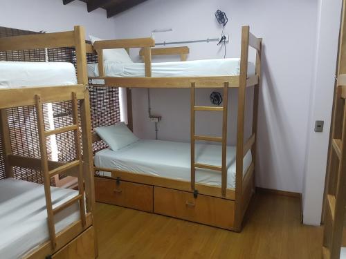 Purple Monkey Hostel, Medellín (foto 4)