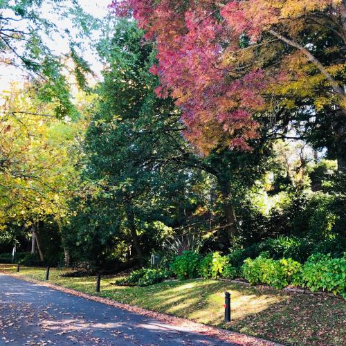 Aldgate Creek Cottage Bed and Breakfast