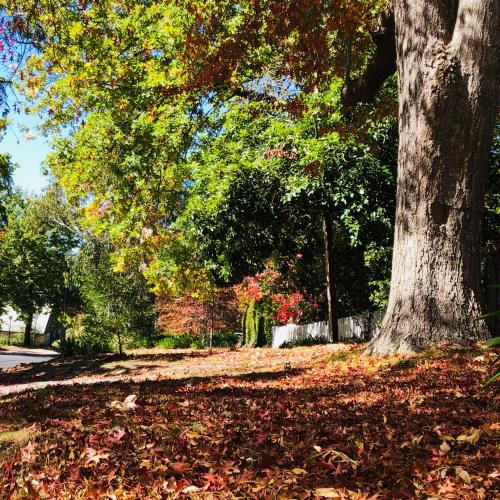 Aldgate Creek Cottage Bed and Breakfast