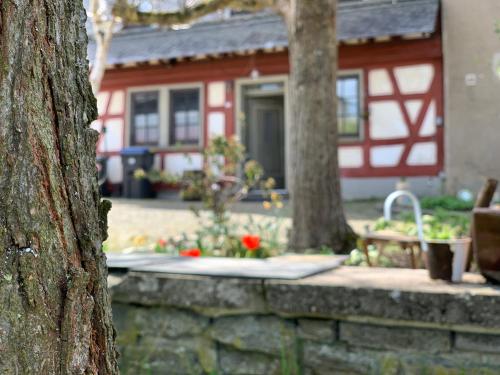Iekārtas, Altes Zehnthaus Geierlay in Mittelstrimmig