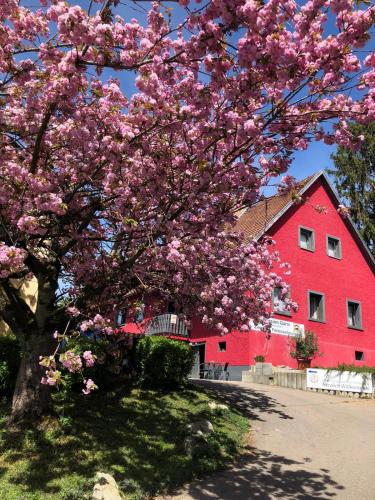 Pension Grübel 5