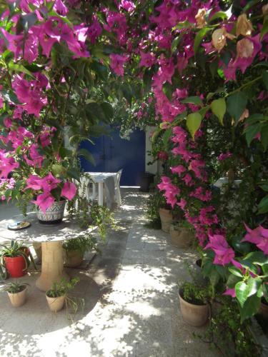 The 18, Marsa Guest House Sidi Bou Said