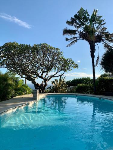 villa MILA - Location saisonnière - L'Étang-Salé