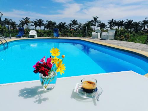 Villa Laura Apartment - 수영장