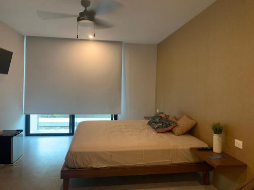 Las Palmas Studios, Cancún (photo 10)