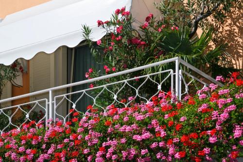 Hotel Isabella - image 14