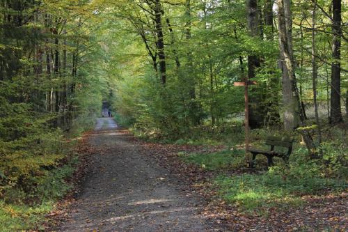 Glück Holiday DB Glück Holiday DB