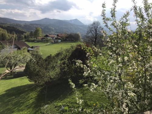 Entspannen mit Bergpanorama