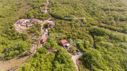 The Forest House Krk 1 - main image