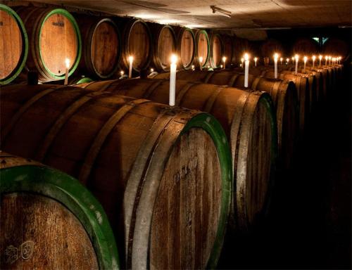 Hotel Haus Sonnenschein - image 14