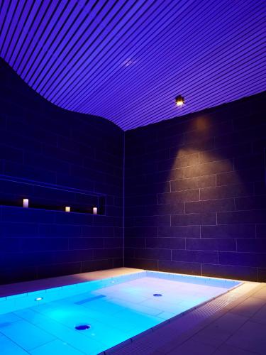 Spa Hotel Amsee - image 11