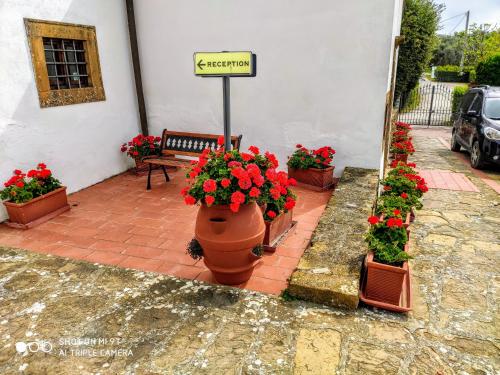 Borgo La Casaccia - image 5