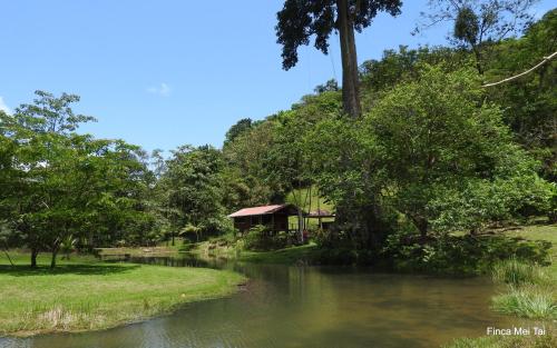 Mei Tai Cacao Lodge