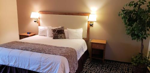 Stagecoach Inn & Suites