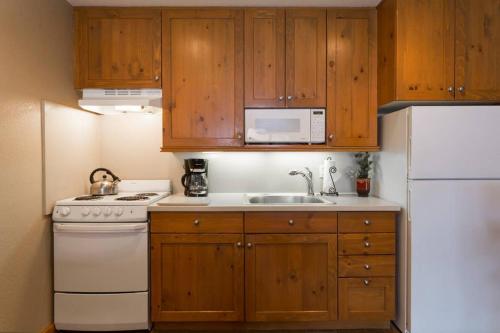 #213 1br Snowcrest Condo Walk 2 Lift - image 8