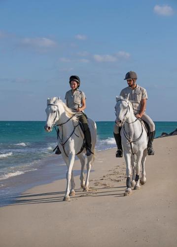 Anantara Sir Bani Yas Island Al Sahel Villas