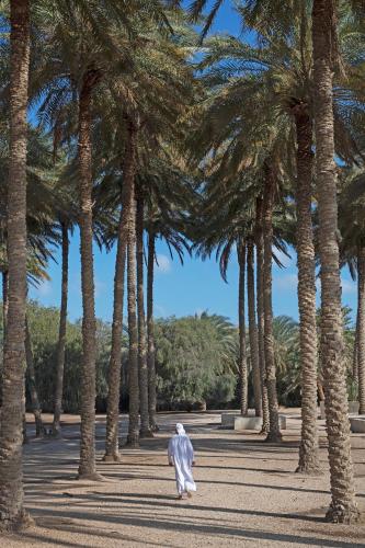 Anantara Sir Bani Yas Island Al Sahel Villas