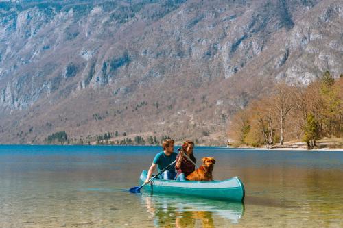 Apartmaji Triglav - image 10