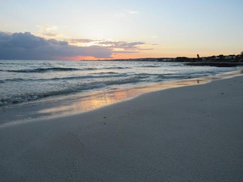 Casa vacanze Milena1 gîte à louer Torre Vado