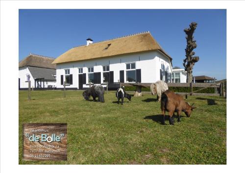 B&B Bathmen - Vakantiehuis ''De Bolle'' - Bed and Breakfast Bathmen