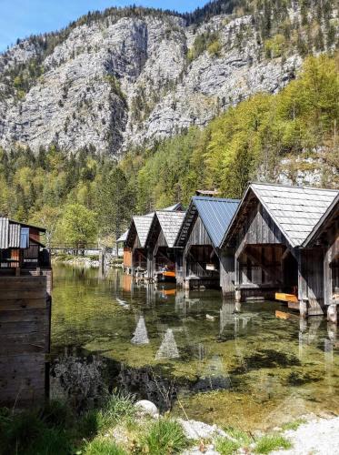 Apartment House Seerose in Obertraun
