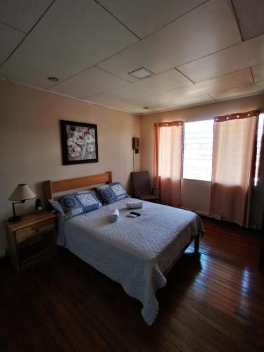 Toucan Hostel in Alajuela