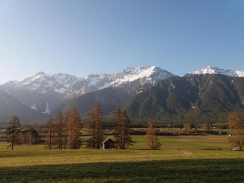 Pension Sonnenhof - image 7