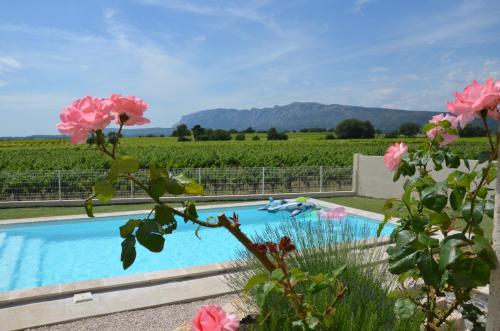 Vue Sainte Victoire, proche Aix-en-Provence - Location saisonnière - Pourrières