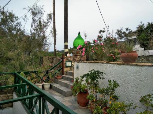 Armenistis View Studios - image 8
