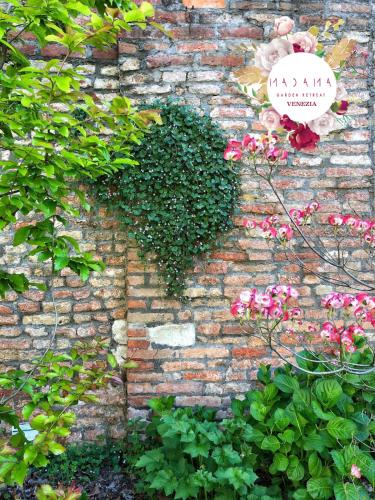 Madama Garden Retreat - image 4